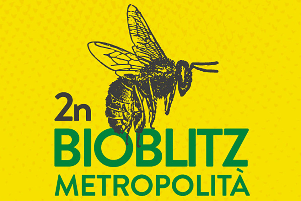 2n Bioblitz metropolità