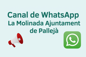 WhatsApp La Molinada