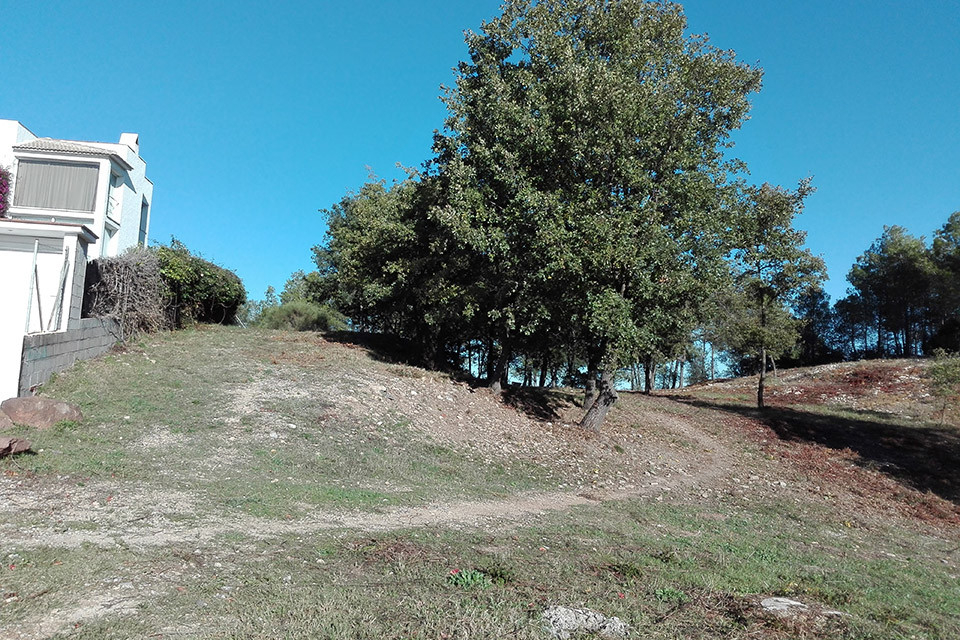 Franja forestal Fontpineda