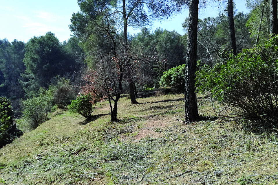 Prevenció d'incendis