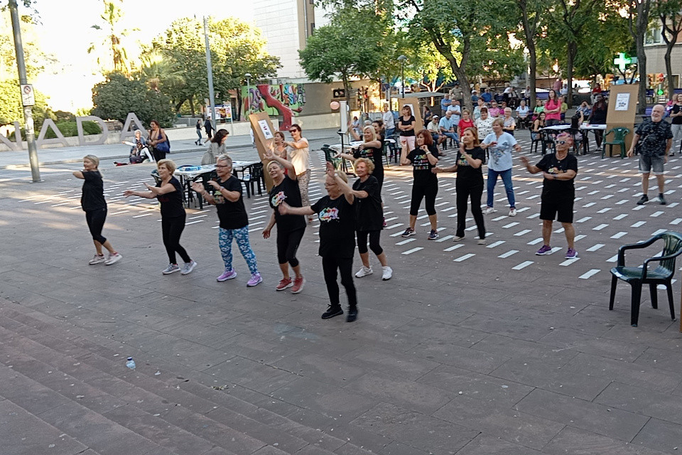 Programa d'envelliment actiu