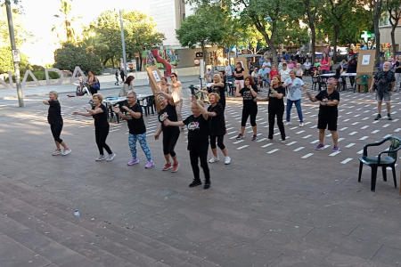 Programa d'envelliment actiu