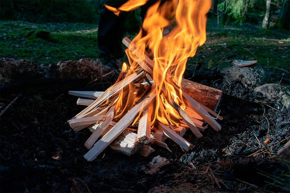 Prohibició foc al bosc