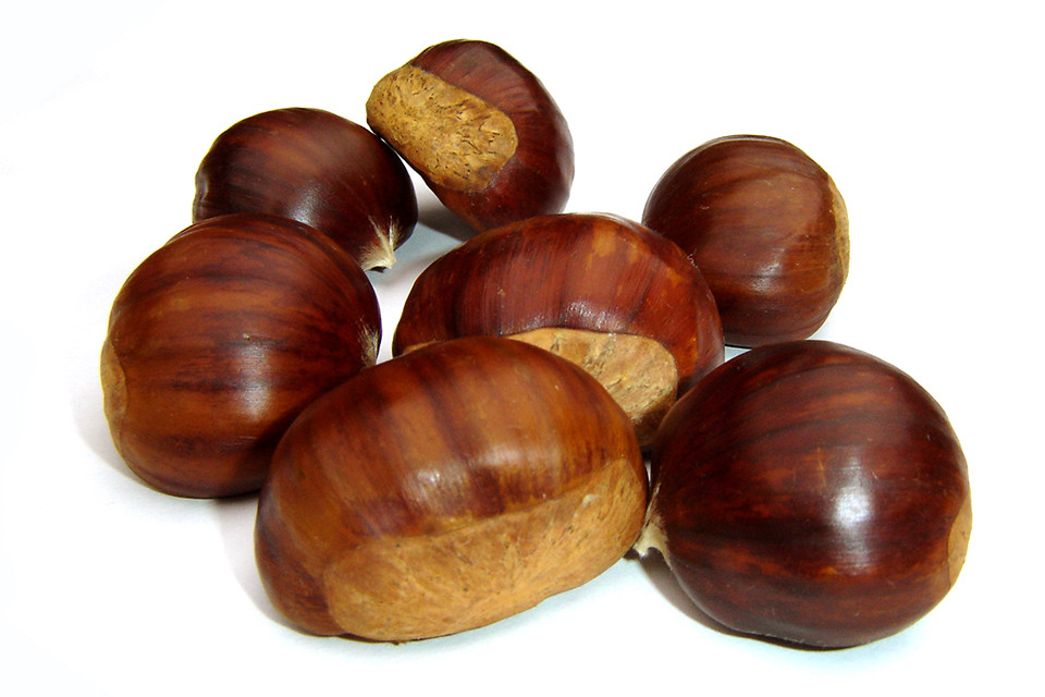 castanyes