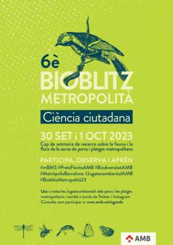Cartell Bioblitz metropolità