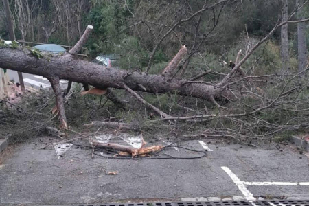 Afectacions del temporal