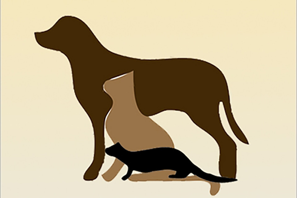 Animals de companyia