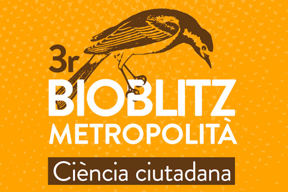 3r Bioblitz metropolità