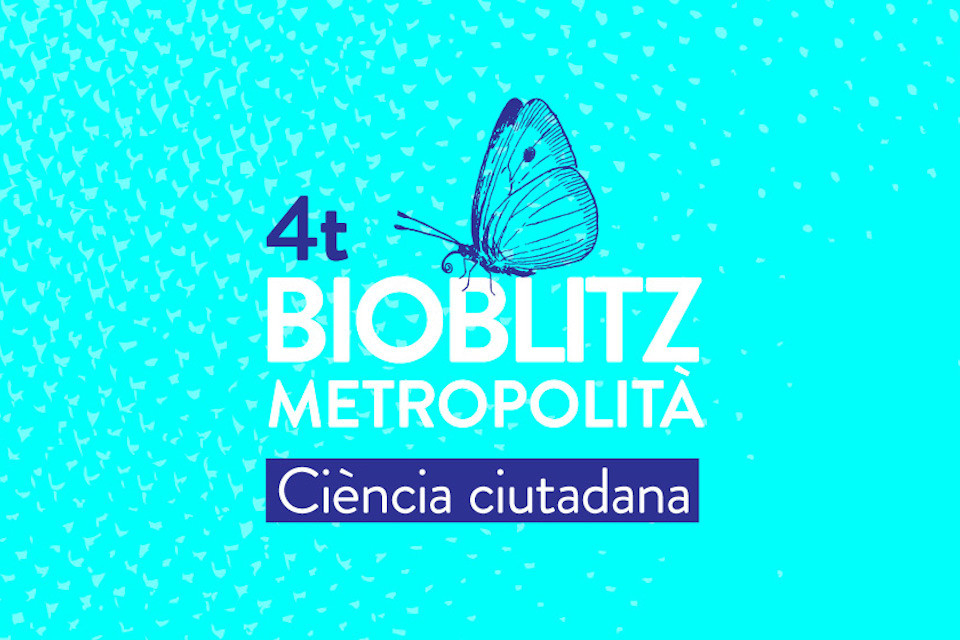 4a edició Bioblitz metropolità