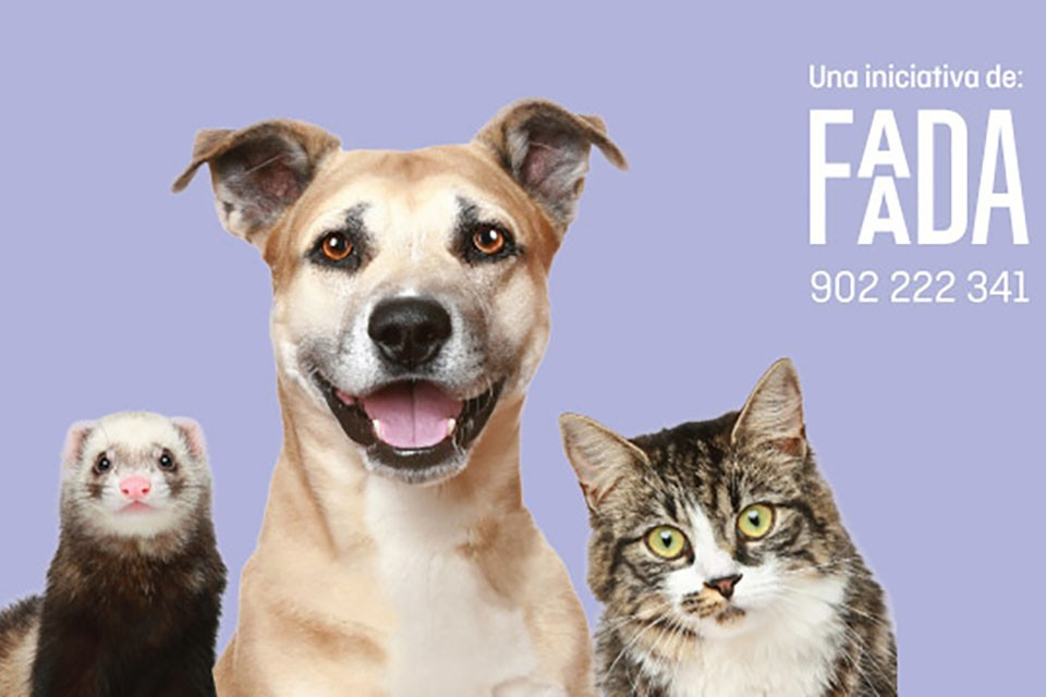 Fundació FAADA