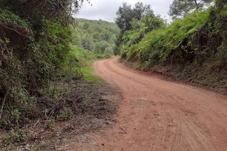 Camí Can Coll