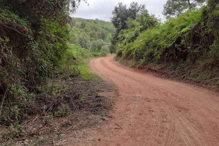 Camí Can Coll