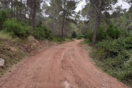 Camí Can Coll