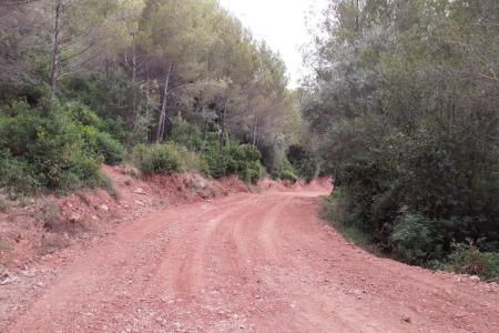 Camí Les Rovires