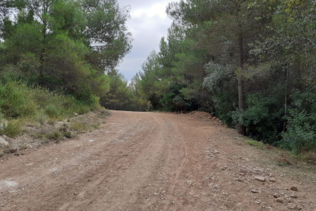 Camí Les Rovires