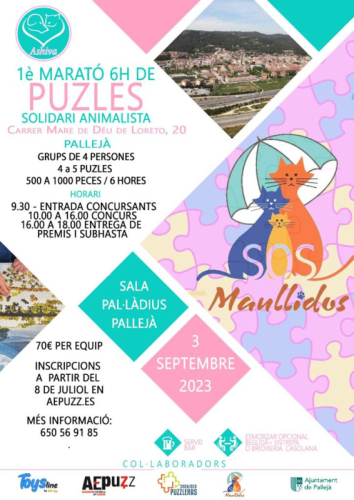 1a Marató Solidària de Puzles