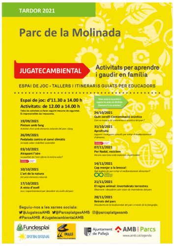 Programació Jugatecambiental
