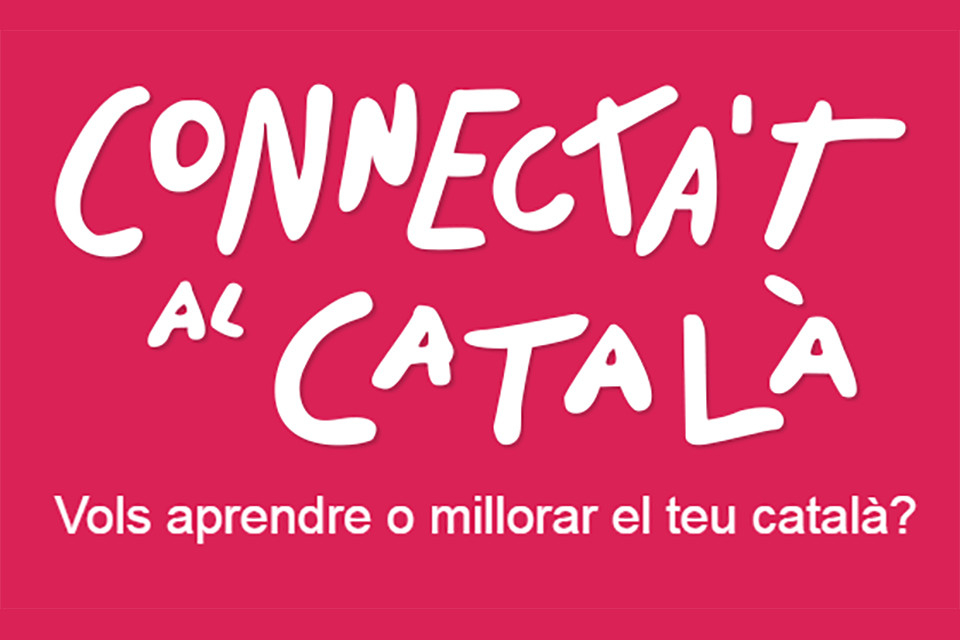 Cursos de català