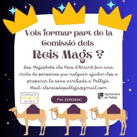 Comissió de Reis
