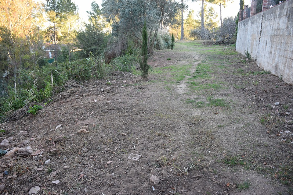 Franja forestal a Fontpineda