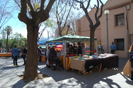 Sant Jordi 2017