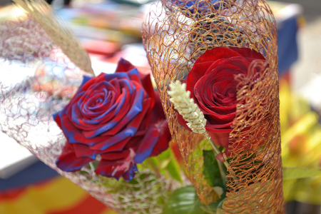 Sant Jordi 2017