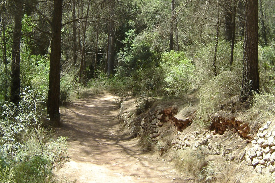 Camins municipals