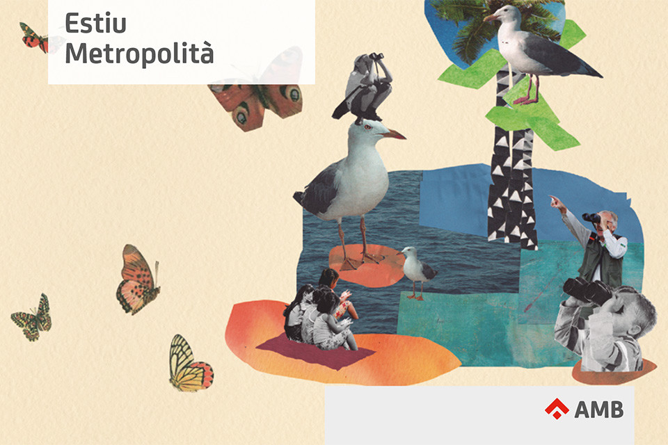Activitats d'estiu a parcs, platges i rius metropolitans