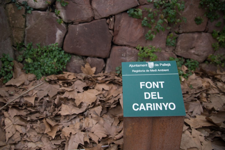 Font del Carinyo