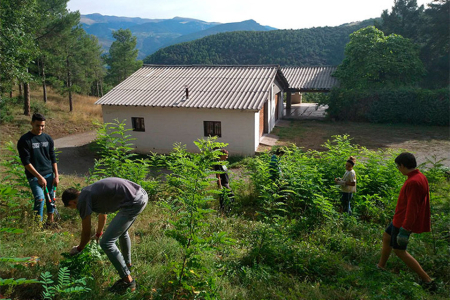 Camp de treball