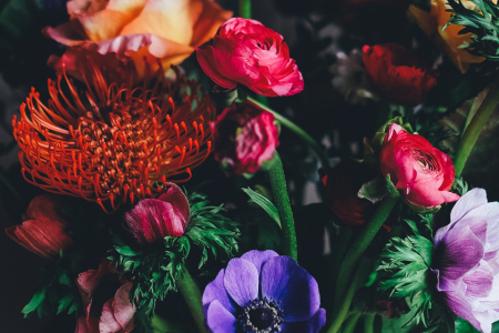 Catifes de flors