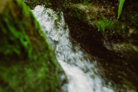 Treballant per protegir l'entorn natural