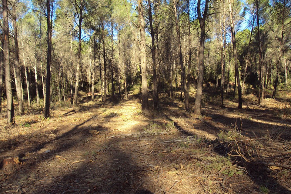 Prevenció d'incendis