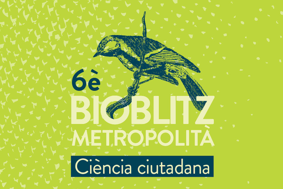 Bioblitz metropolità