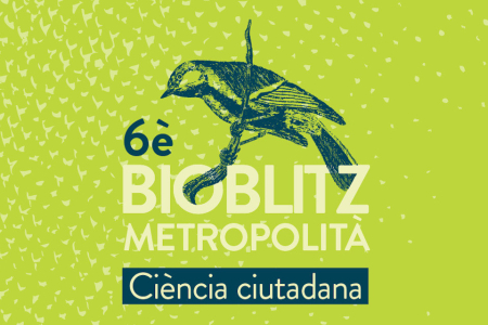 Bioblitz metropolità