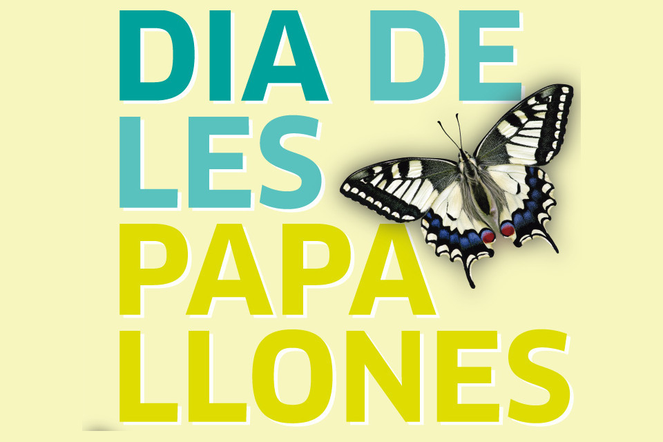 Dia de les papallones
