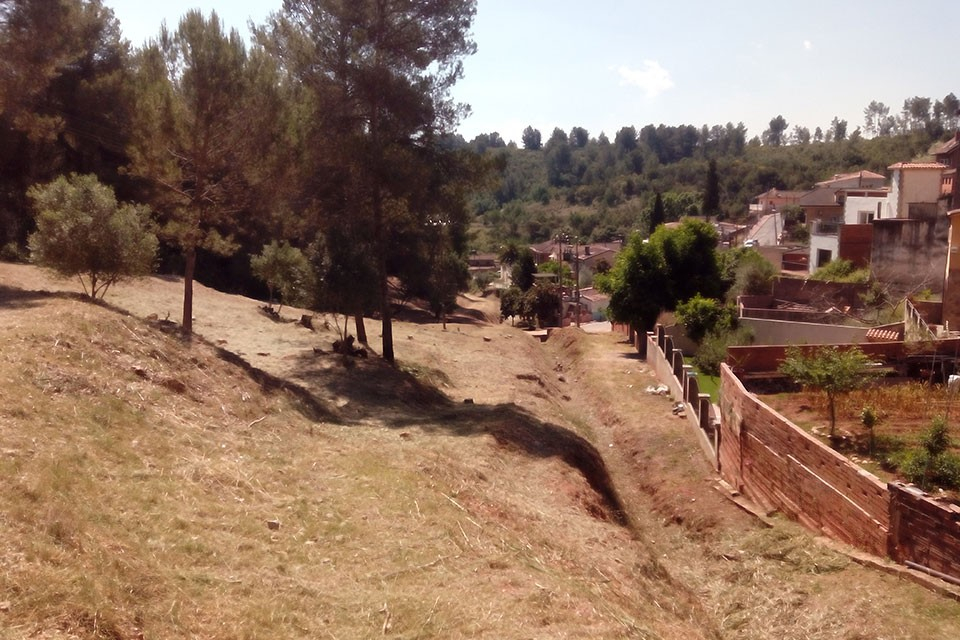 neteja forestal