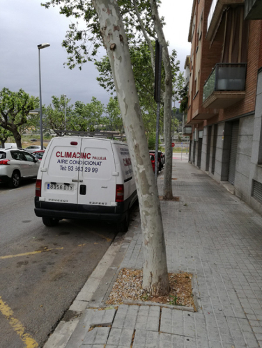 Plantaners de la riera Boter i la ronda Santa Eulàlia
