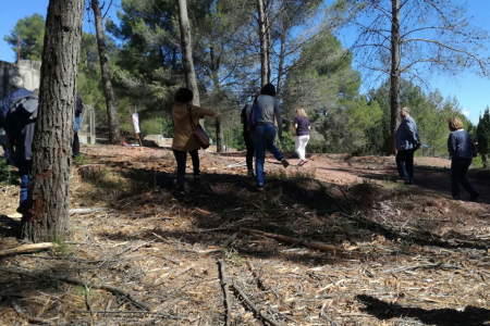 Jornada tècnica gestió forestal