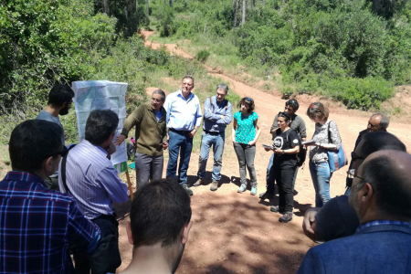 Jornada tècnica gestió forestal