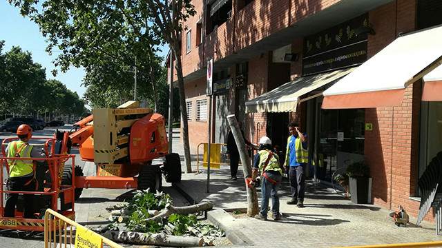 Plantaners de la riera Boter i la ronda Santa Eulàlia