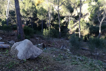 Franja de prevenció d'incendi forestal a Fontpineda