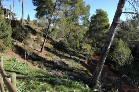 Franja de prevenció d'incendi forestal a Fontpineda