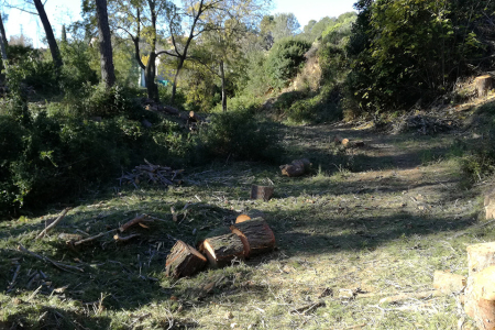 Franja de prevenció d'incendi forestal a Fontpineda