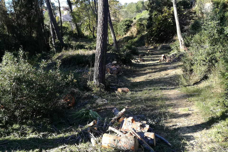 Franja de prevenció d'incendi forestal a Fontpineda