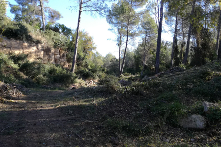 Franja de prevenció d'incendi forestal a Fontpineda