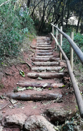 Accés a la font de les Rovires