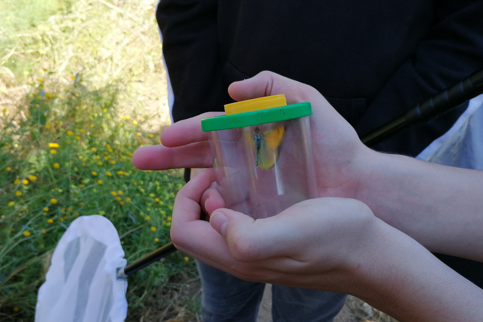 Descobrint la biodiversitat