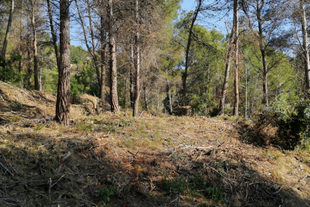 Finca Les Pedreres - resultat dels treballs