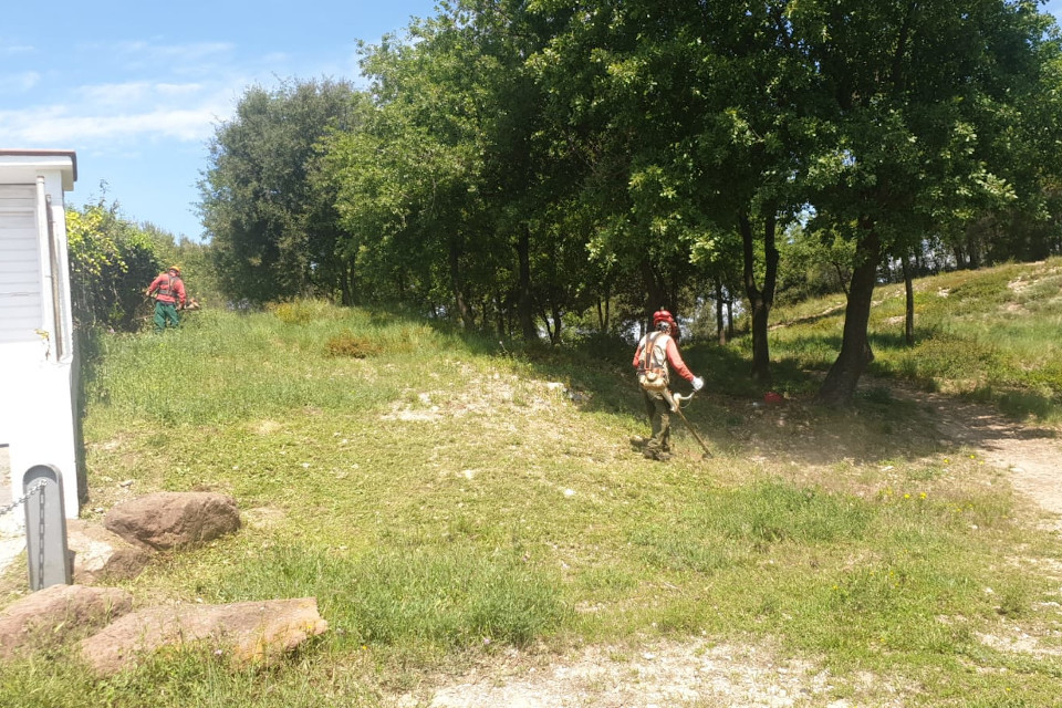 Franja forestal de Fontpineda